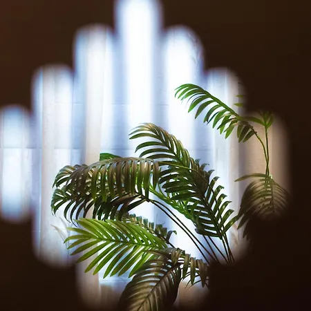 Amplio Y Acogedor Junto A Plaza Zabalburu *